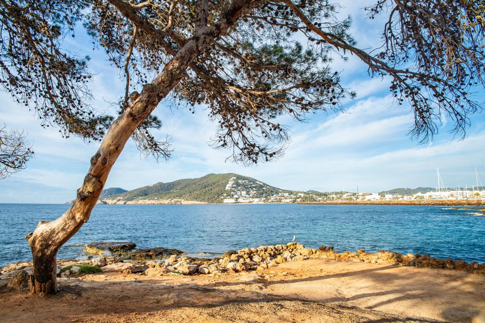 Pierre & Vacances Ros Ibiza Santa Eularia des Riu Dış mekan fotoğraf